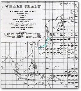 NewBedford_whalechart_b
