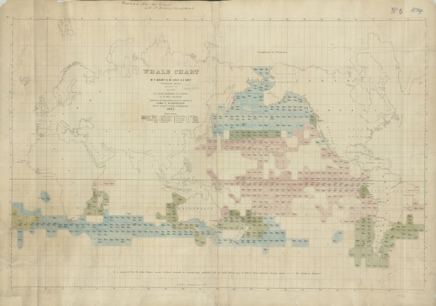 Whale Chart 1851