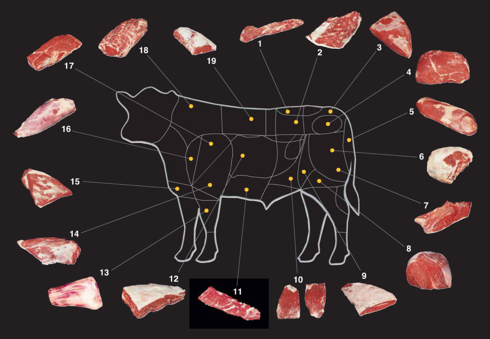 Beef Cut Chart.png