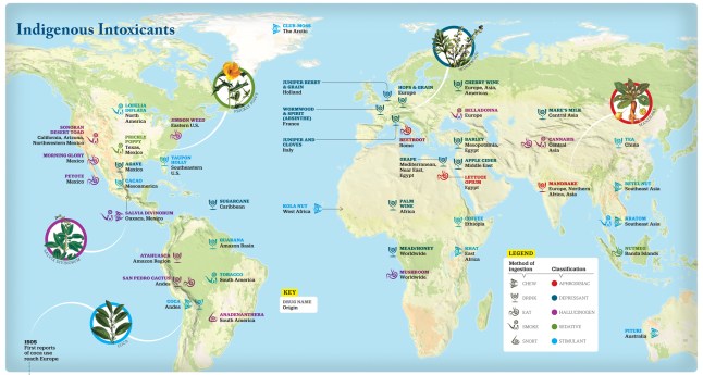Indigenous Intoxicants Big