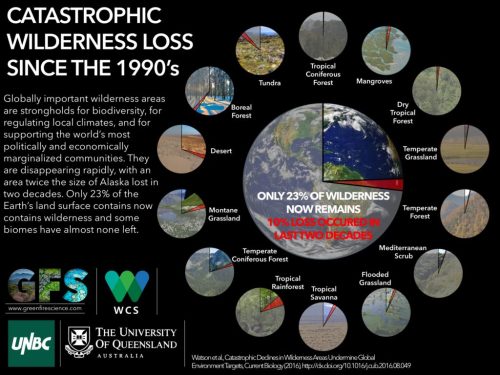 wild_infographic2-1-1-1024x768