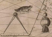 Seal otter champlain