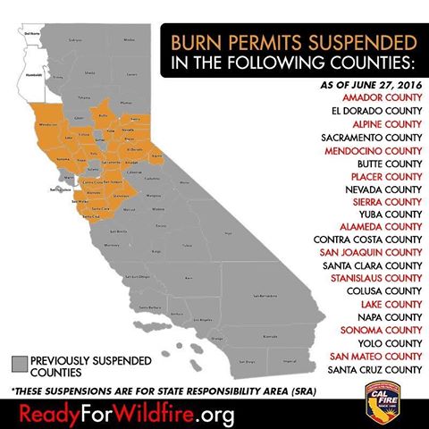 13556817_1209185672448825_70259730_n