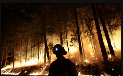 Burn-Out Fires in Yosemite