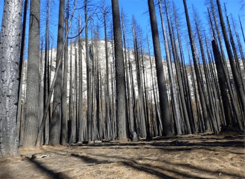 Burnell Falls--2015? SierraNewsONline.png