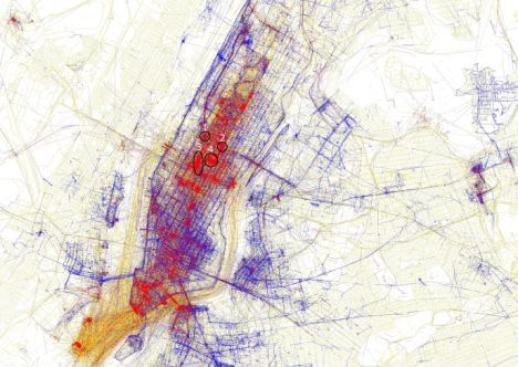 Locals and Tourists Cell Phone Images