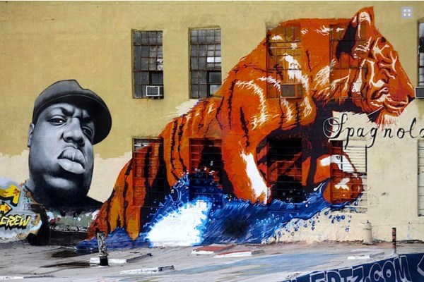 Owen Dippie & Spagnola