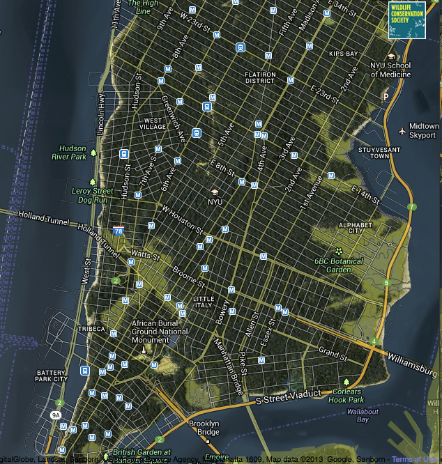 Welikia 1609 Map of Mannahatta