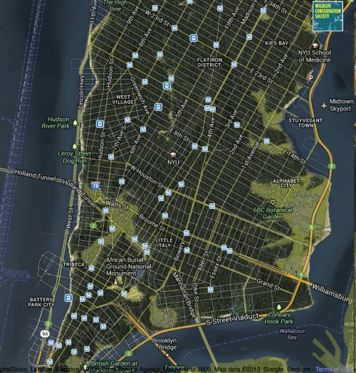 Welikia 1609 Map of Mannahatta