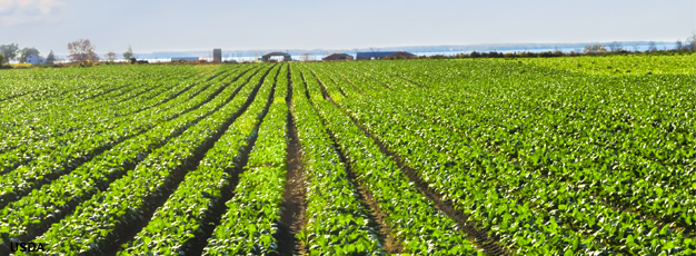 13sept_feature_macdonald_photo