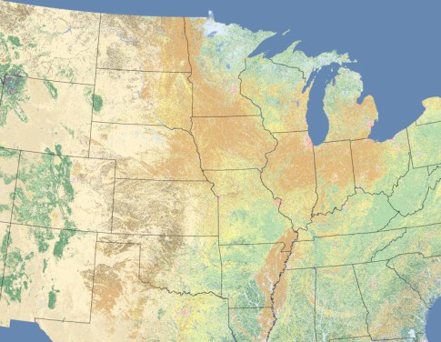 Midwest Landcover in Tan row crops