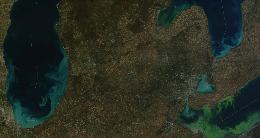 Algal Blooms 2012 true