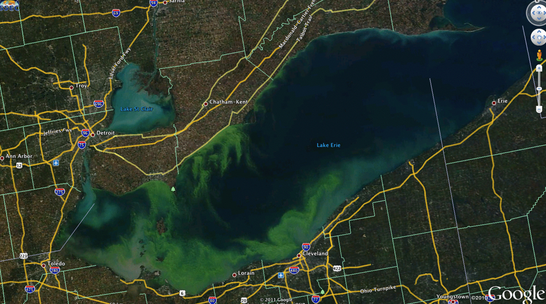 Algea on Google Earth