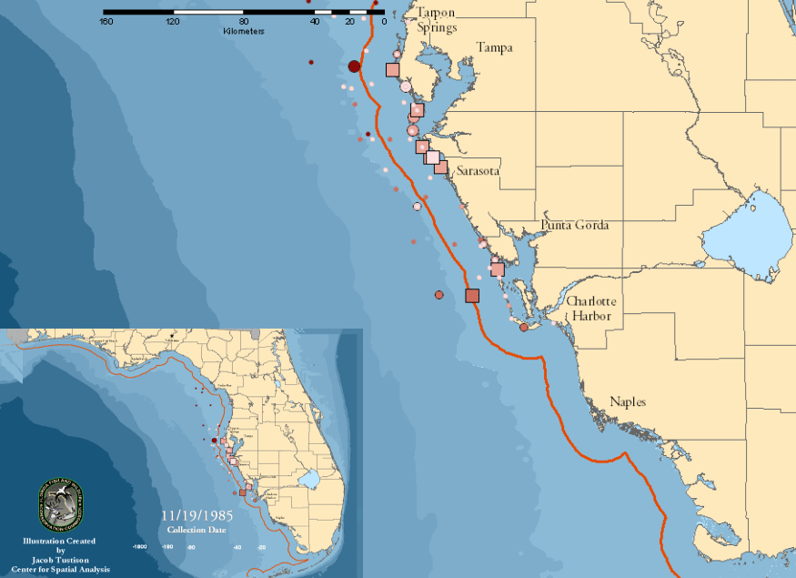 Florida Marine carina 1995