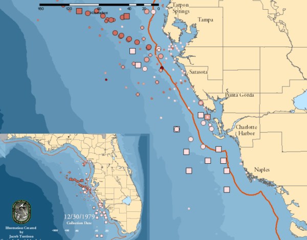 Florida marine Dec 30 1979