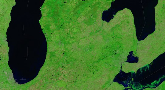 Modis Green Erie