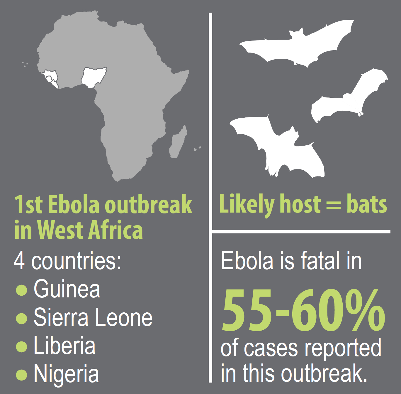 Ebola Outbreak Poster