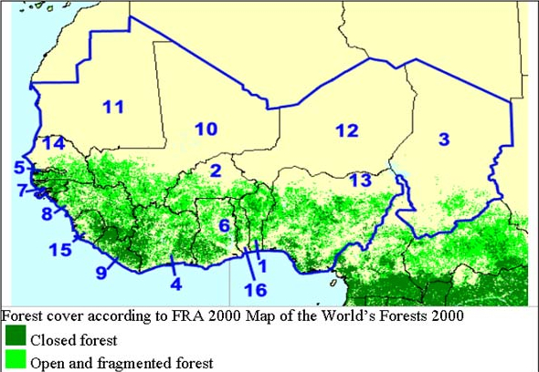 FAO World's Forests 2000