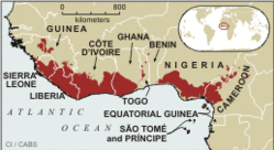 Guinean Forests
