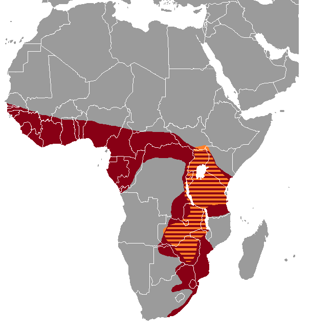 Thryonomys_range_map