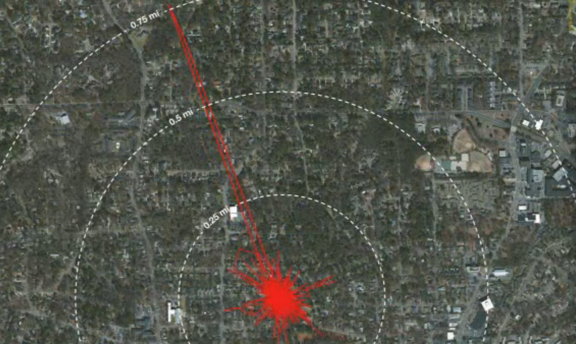 Big Feline Excursion