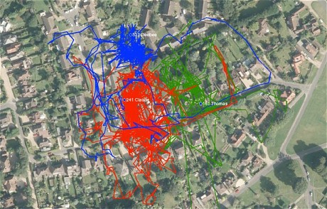 catmapforweb_2589178c