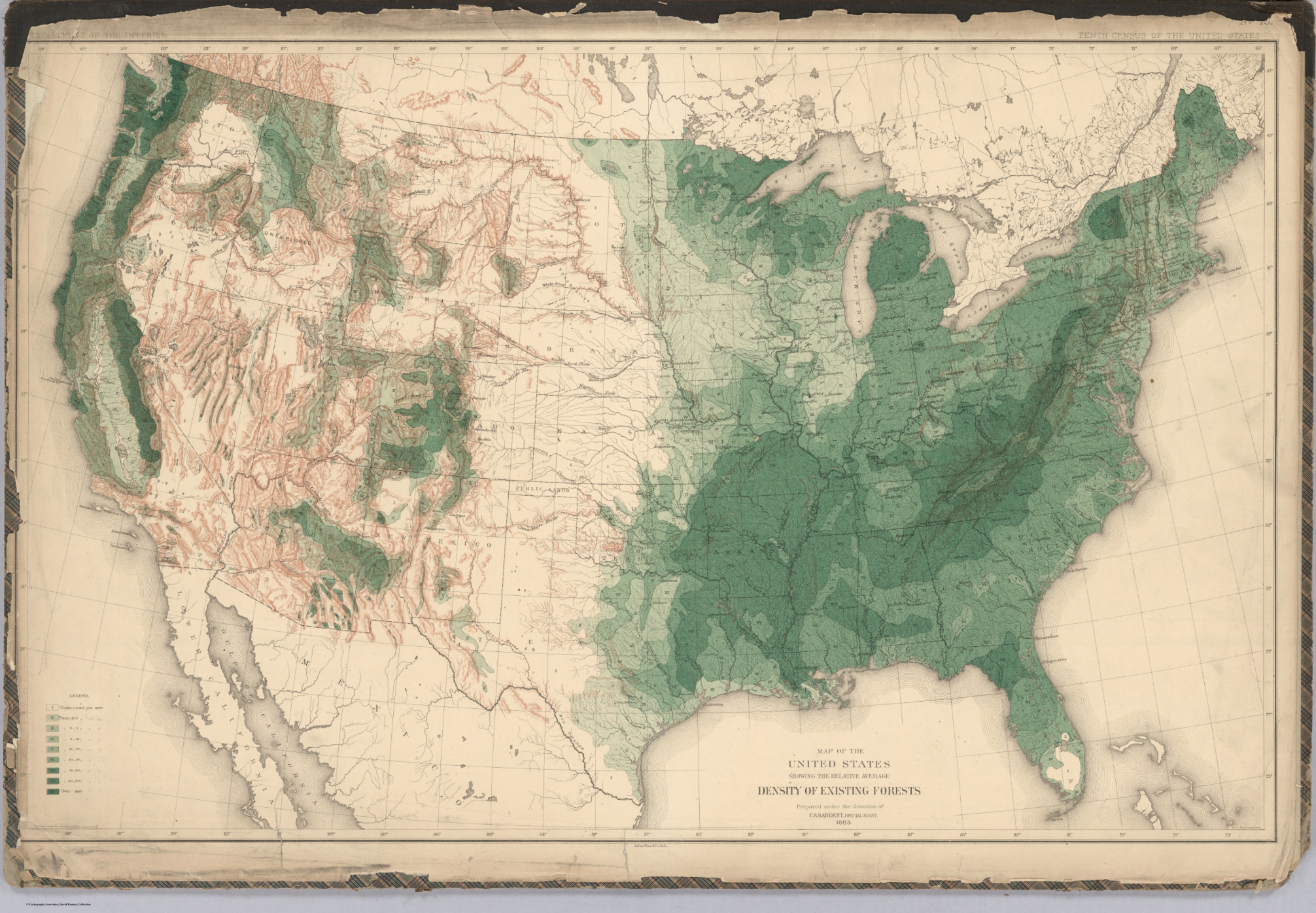 United States Density of Existing Forests 1884