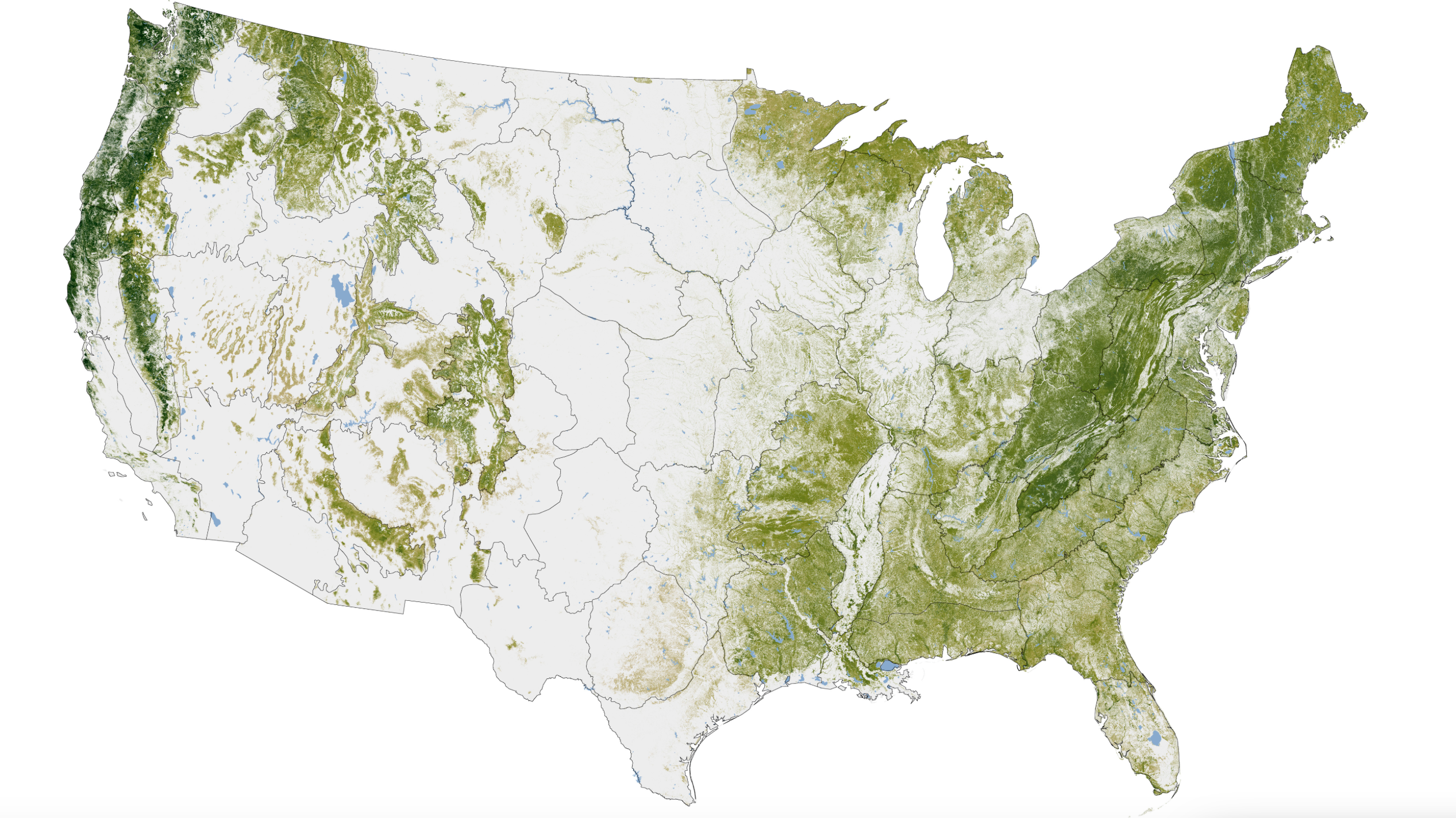 Woody Biomass from NASA 1999-2002