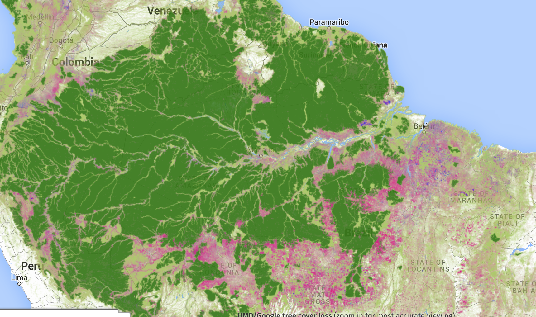 2000 forest cover brazil amazonia