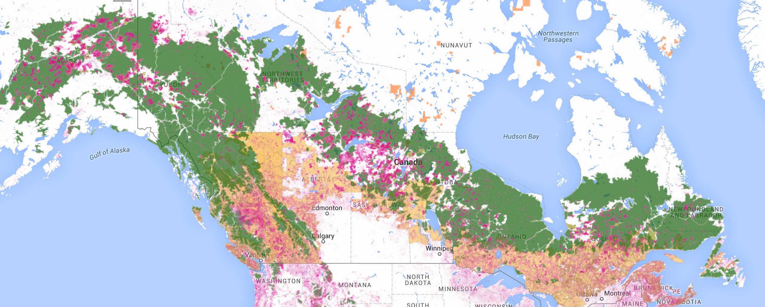 Canada forests lumber