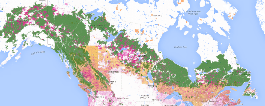 Canada forests lumber