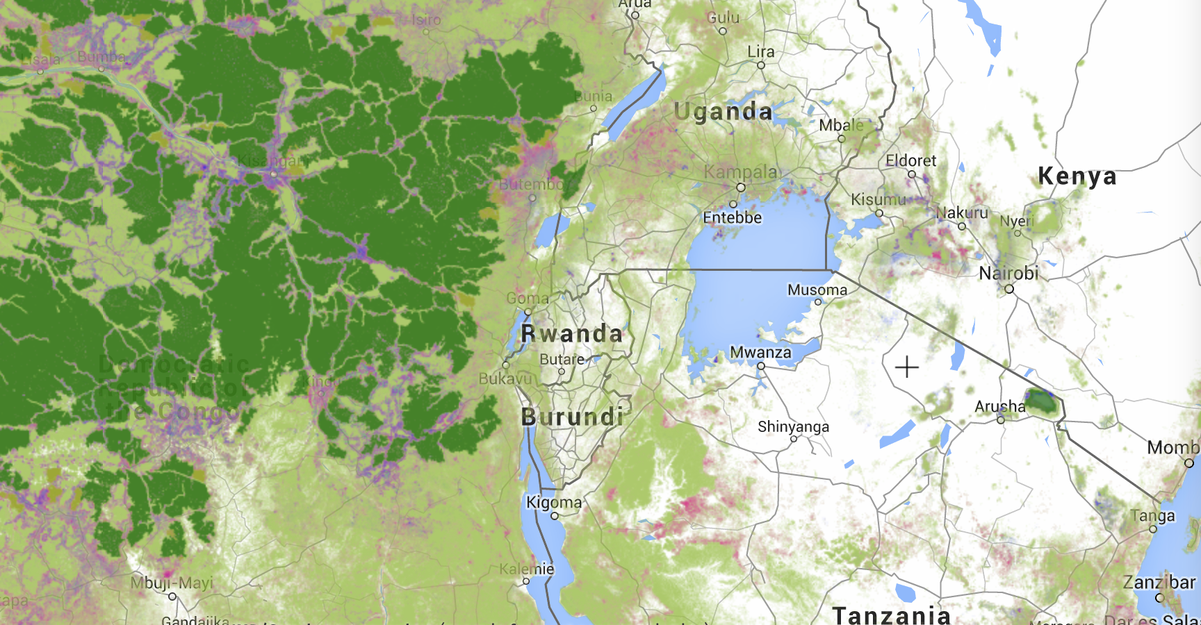 footprint in Central Africa