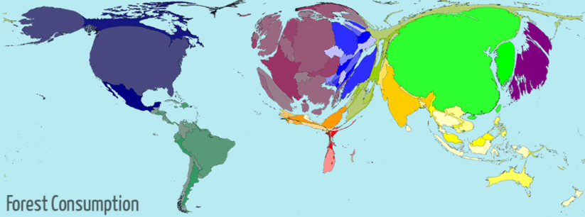 Forest Consumption--2005