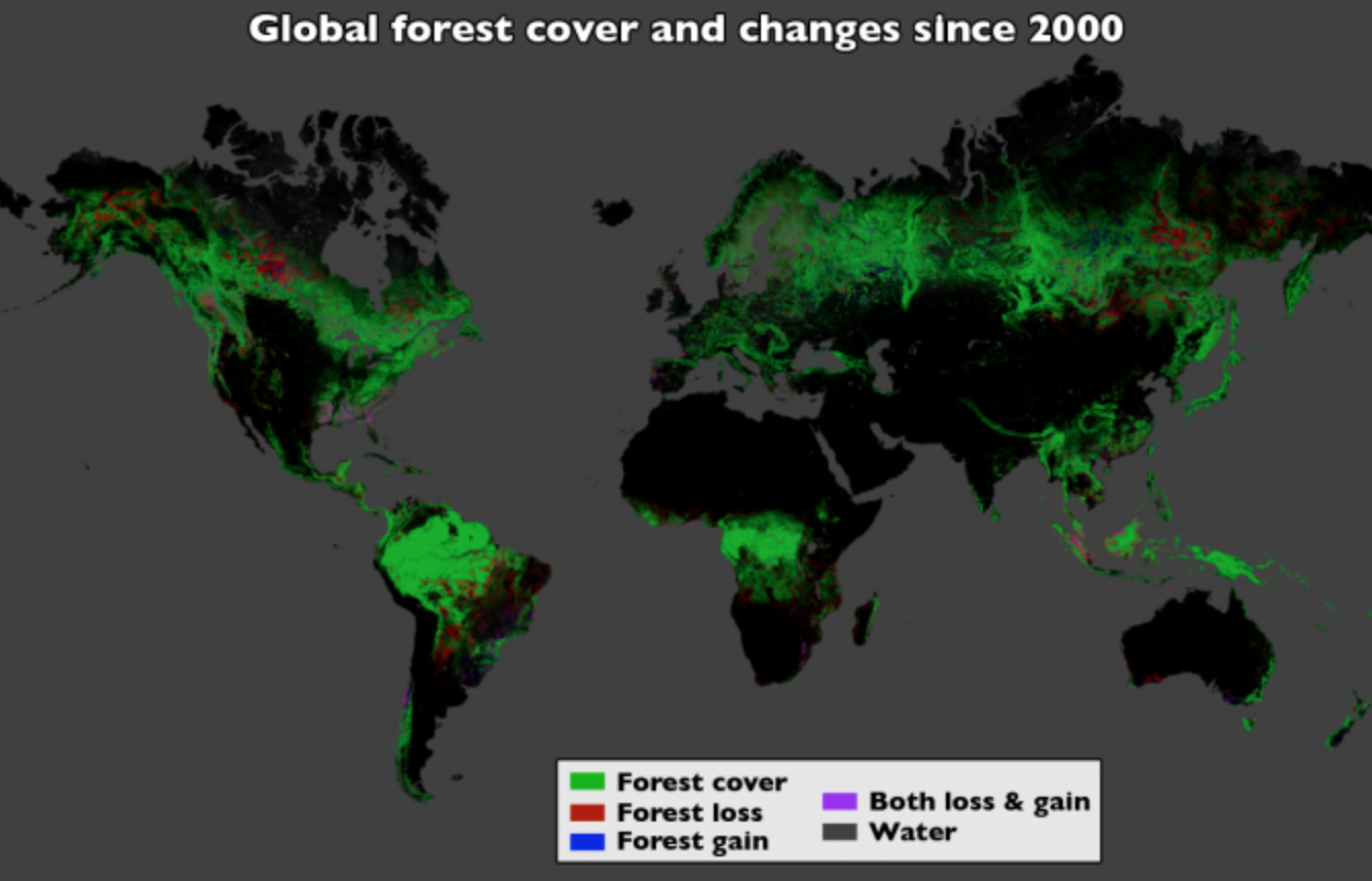 forest loss since 2000