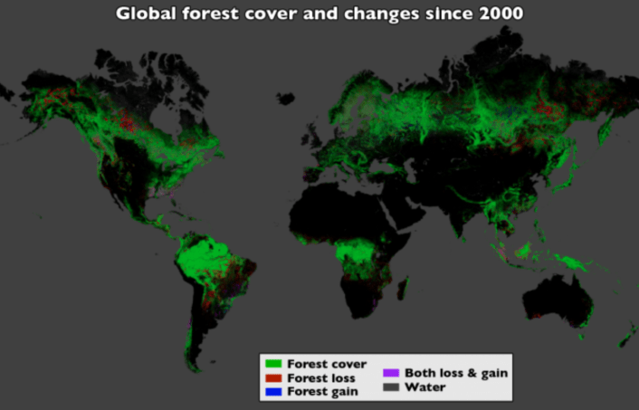 forest loss since 2000
