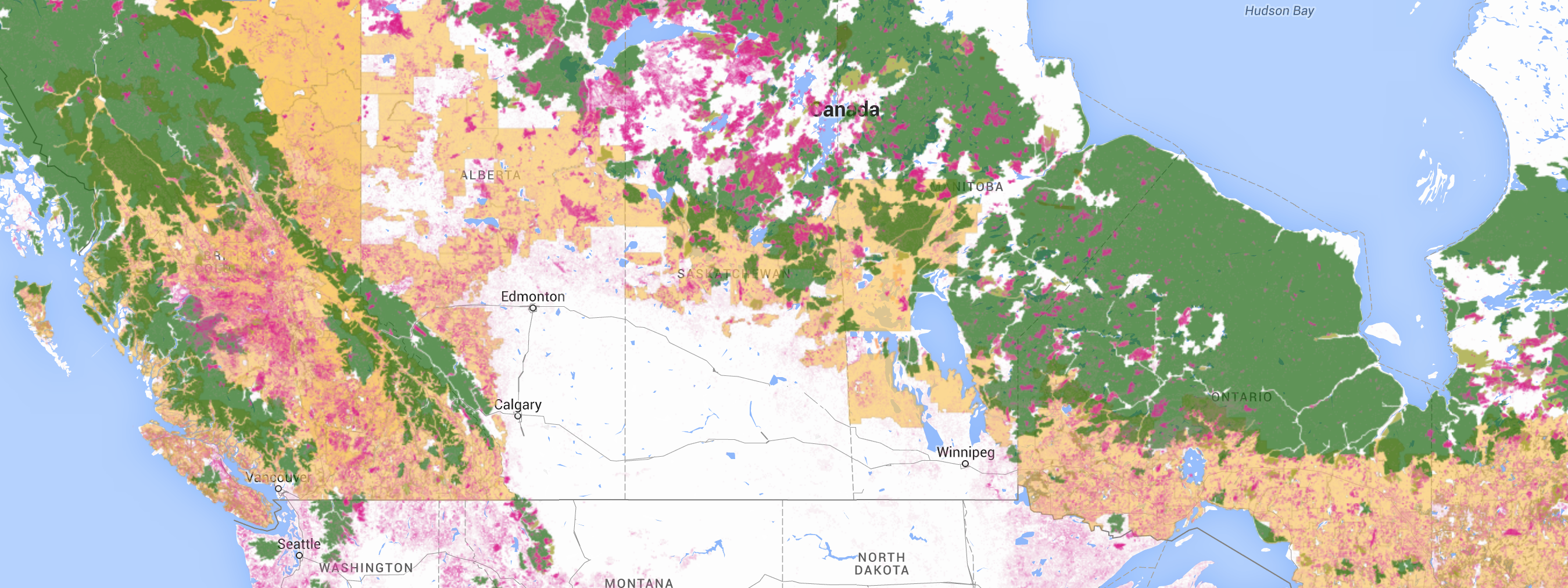 intact forest Canada:logging:tree losss
