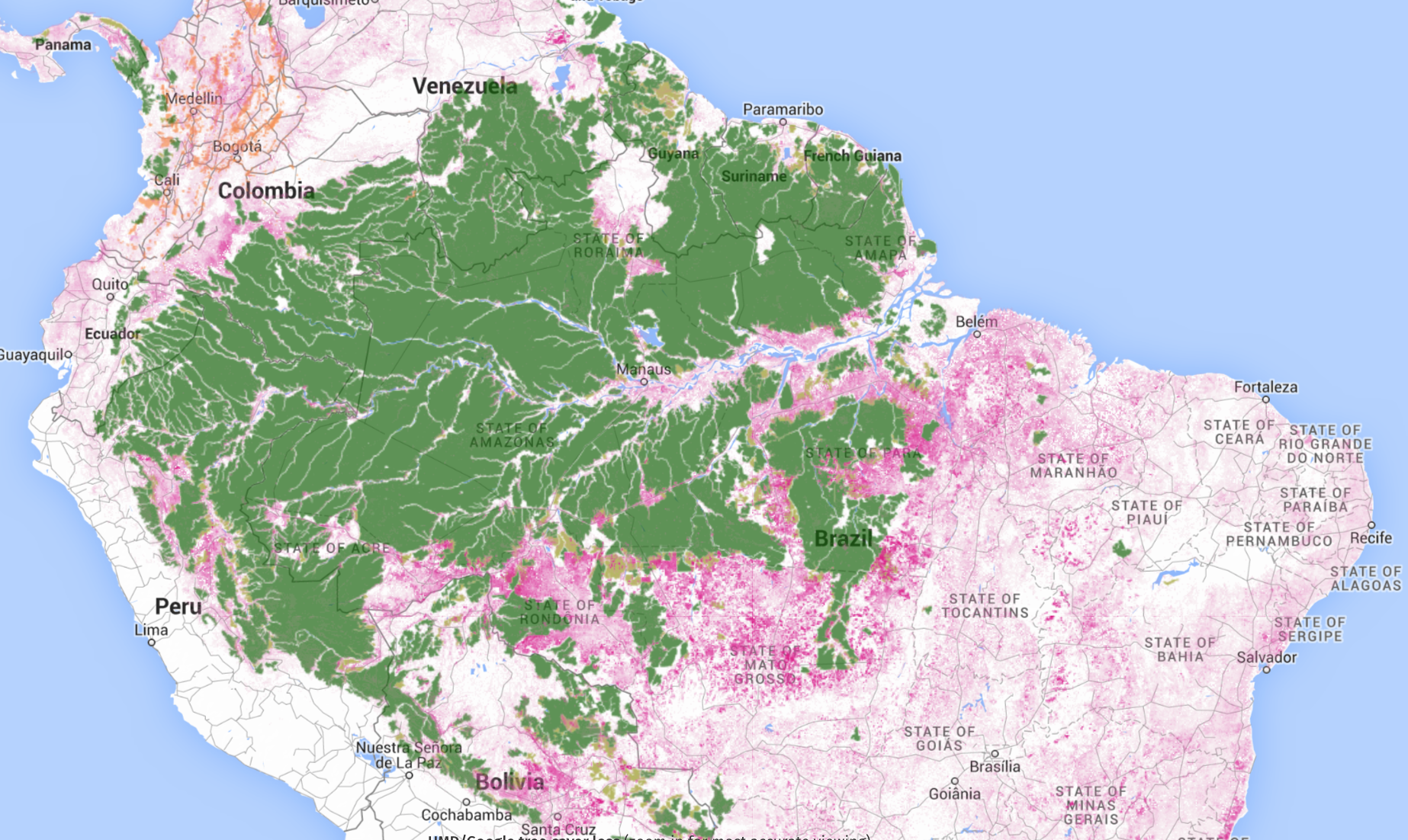 intact tree cover amazonia