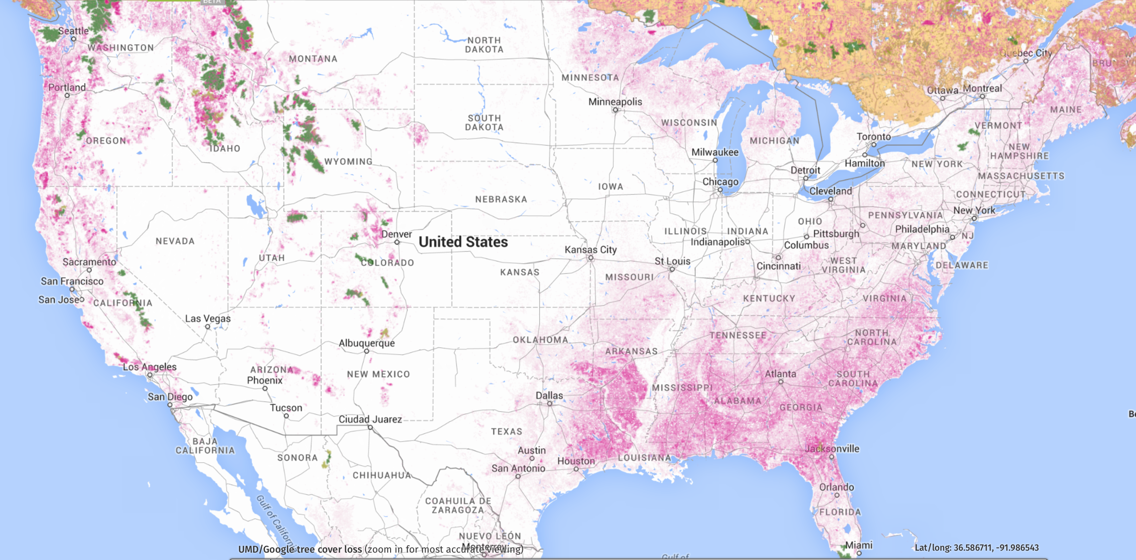 intact tree cover US