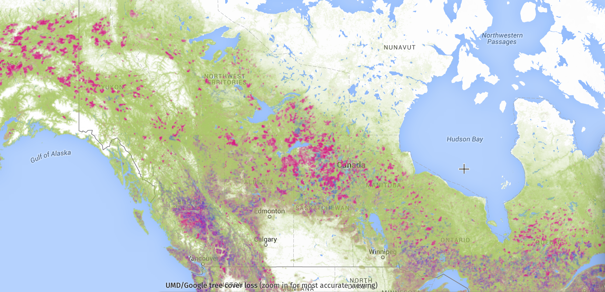 tree cover belt in canada below NT