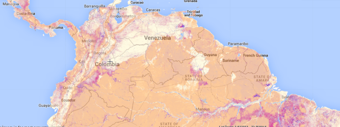 Tree loss to 2013 and tropical carbon stock