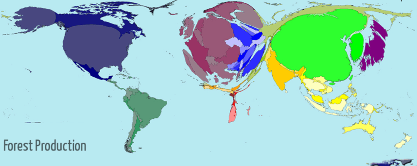 who produces forests?