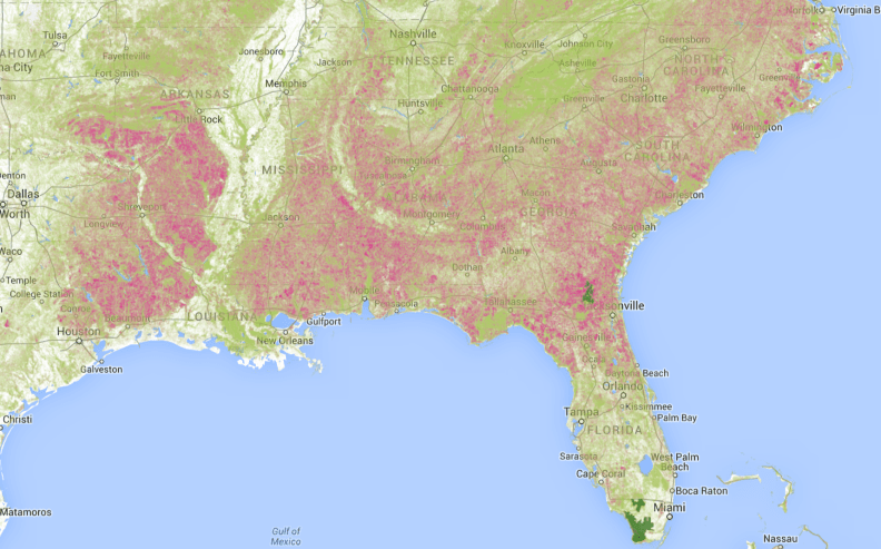 widespread forest losses in South East