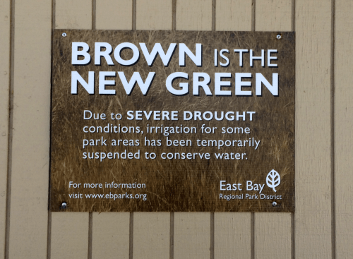 Brown New Green