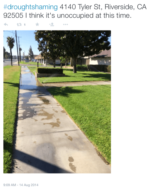 droughtshaming