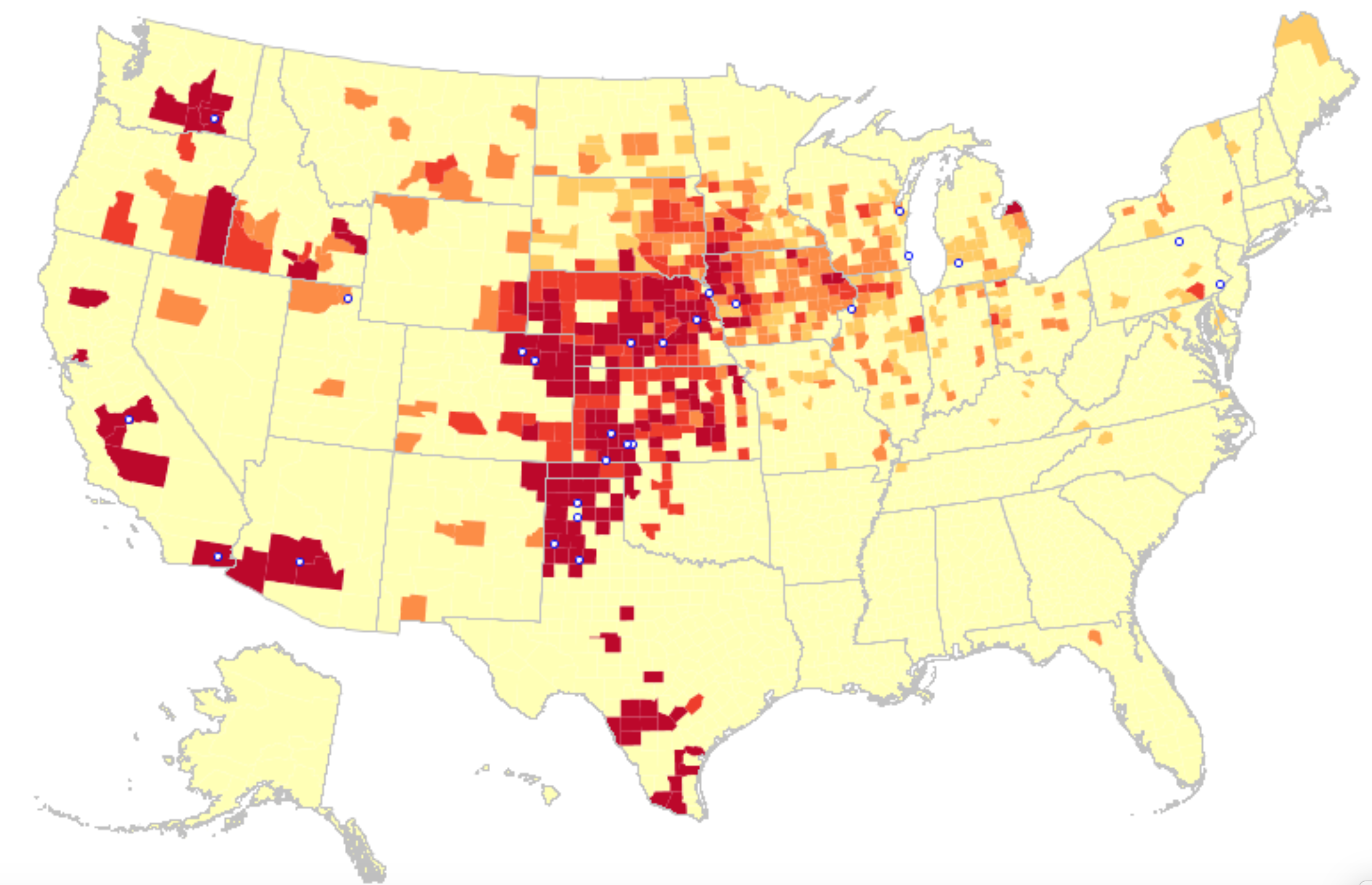 Factory Farms: Cattle