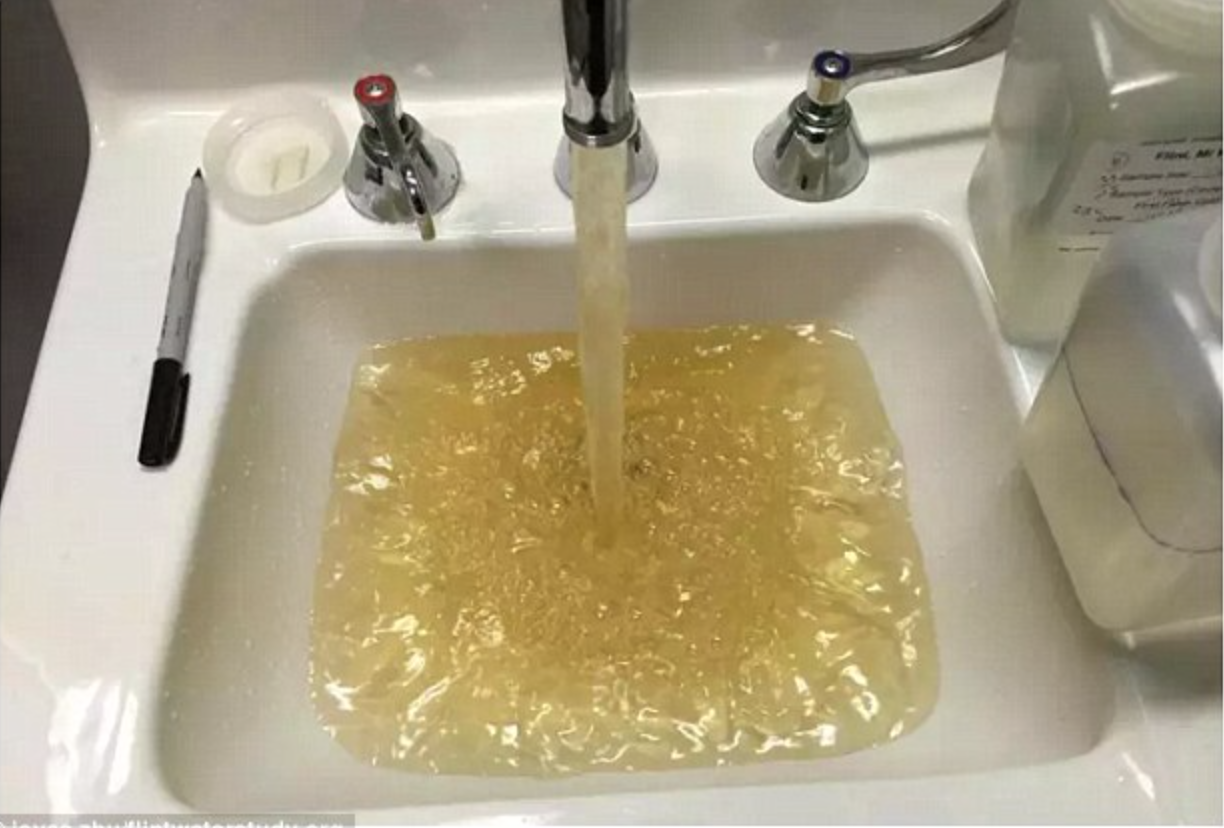 Joyce Zhu:Flint Water Study.org.png