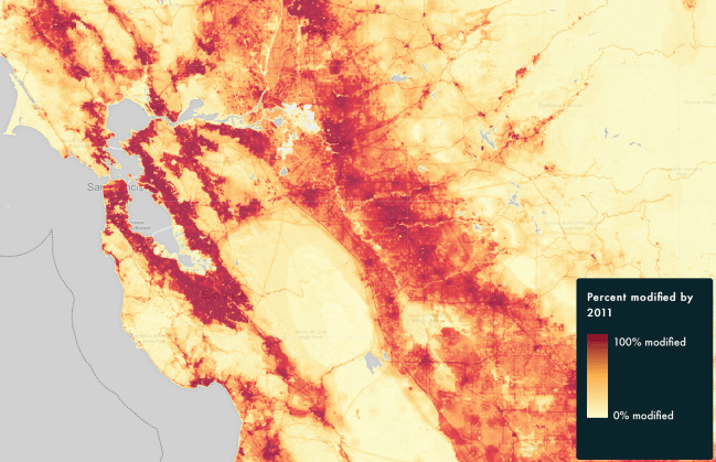 Bay Area-local view.png