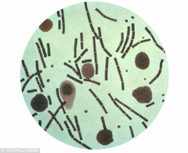 article-2680818-01C13813000004B0-730_638x521