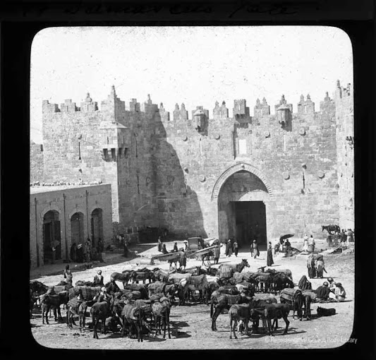 Irish damascus gate.jpg