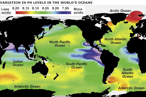_45556228_ph_levels_oceans_466in.gif